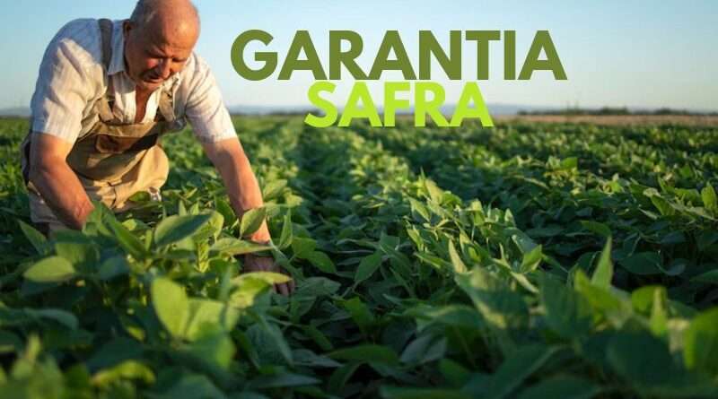 Garantia Safra tudo que precisa saber sobre esse benefício